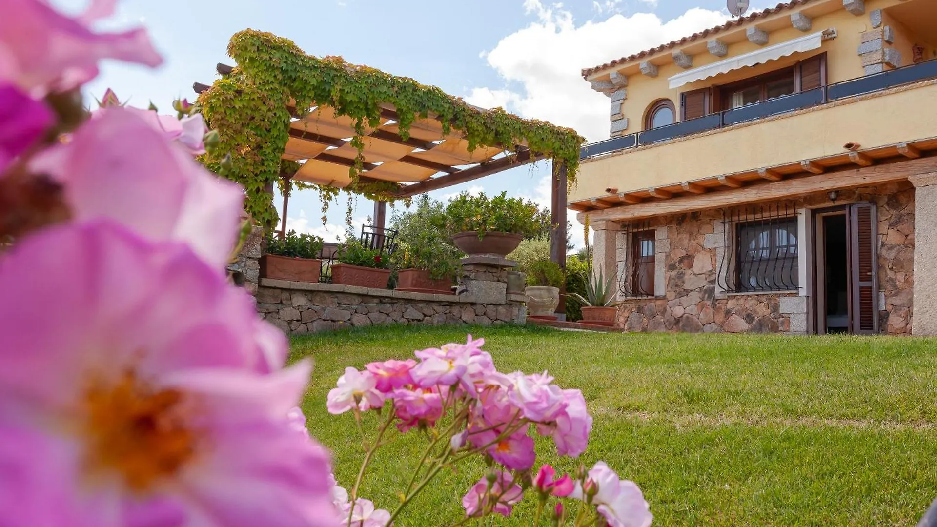 Domus Francy Italy