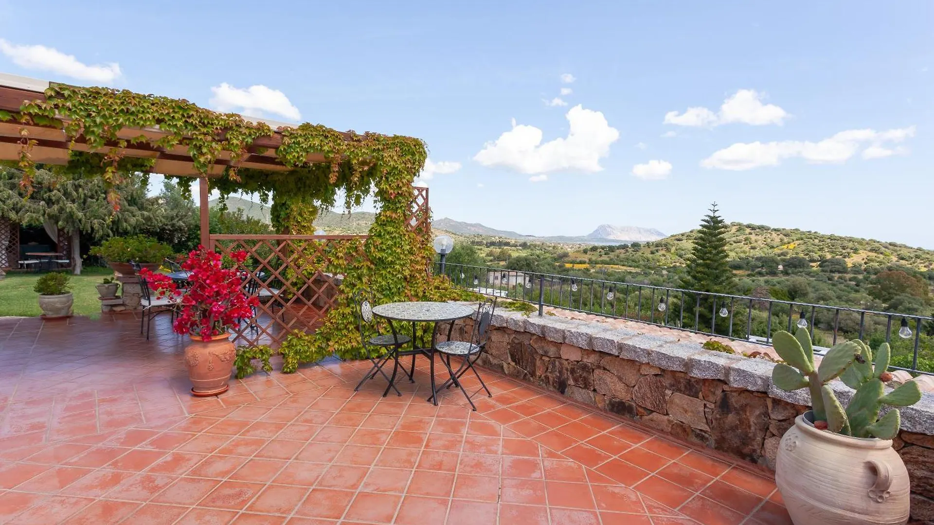Guest house Domus Francy
