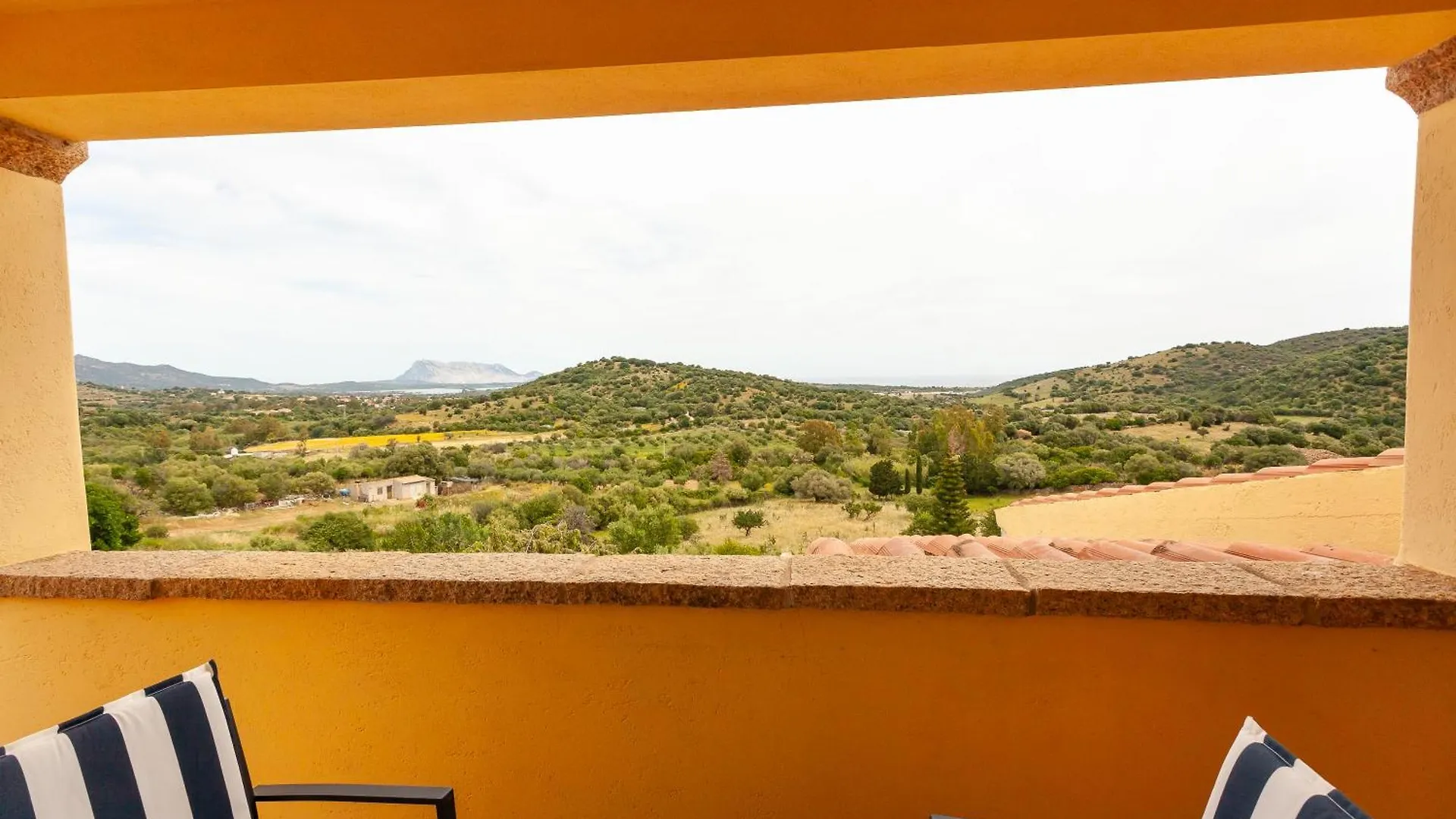 Domus Francy Guest house